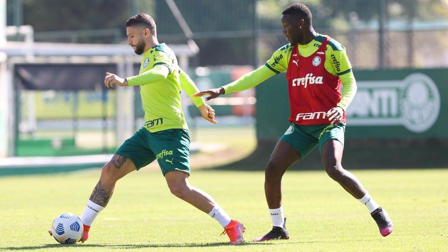 Jogadores do Palmeiras durante atividade na manhã desta quarta-feira - Reprodução/Palmeiras