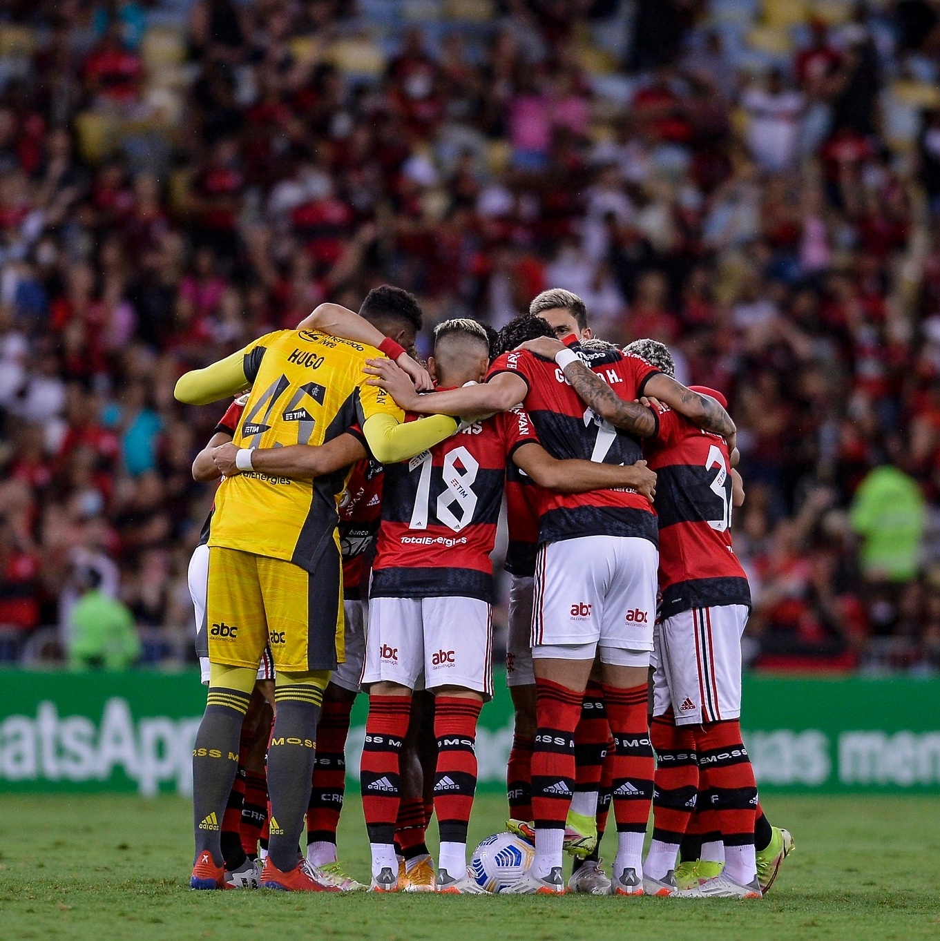 palavra correta para definir o ano do Flamengo é decepcionante