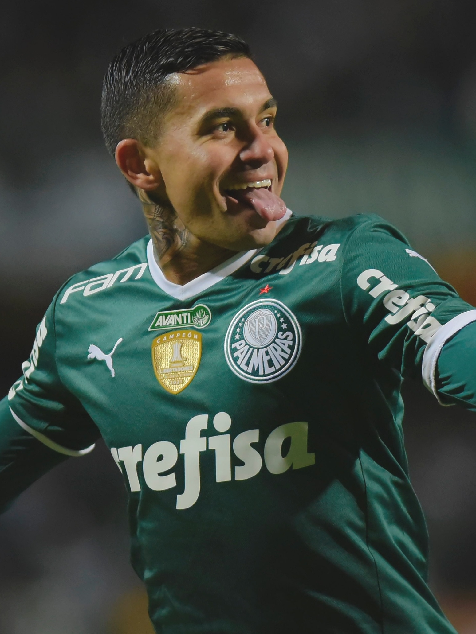 Dudu (Palmeiras) - Perfil de jogador