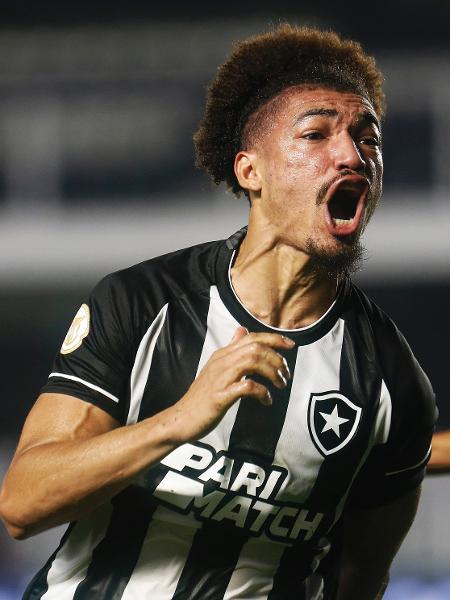 Adryelson comemora gol do Botafogo diante do Santos, pelo Brasileirão