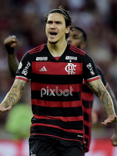 Pedro comemora gol marcado pelo Flamengo contra o Fluminense pelo Brasileirão