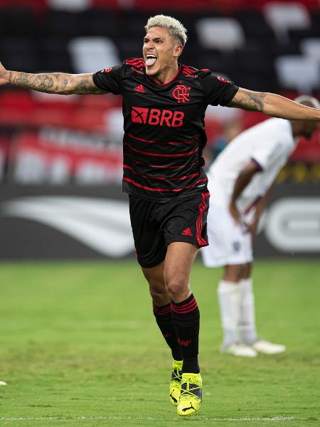 Pedro comemora gol do Flamengo contra o Resende, pelo Campeonato Carioca - Jorge Rodrigues/AGIF