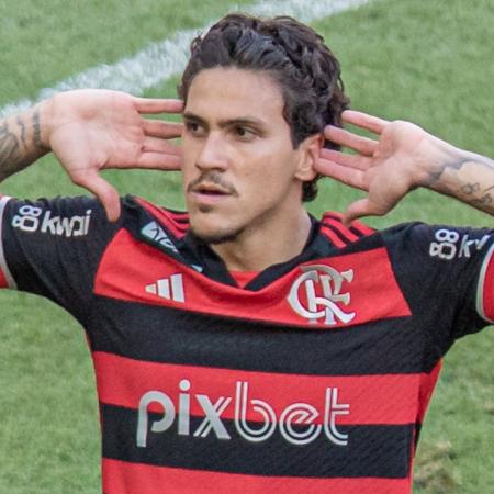 Pedro, atacante do Flamengo, comemora gol sobre o Fluminense durante jogo do Campeonato Carioca