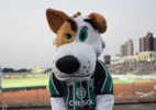 Mascote do Maringá comemora gol e é agredido por jogador adversário - Reprodução/Maringá FC