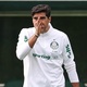 Paulinho volta aos treinos em preparação do Palmeiras para o Super Mundial