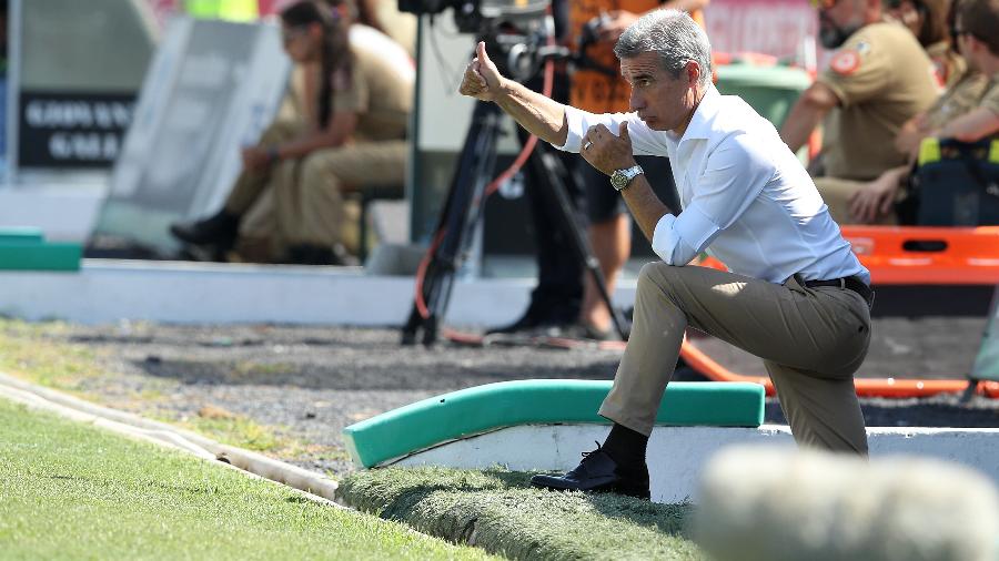 Botafogo segue confiante em desfecho positivo com técnico português Luís Castro - Carlos Rodrigues/Getty Images