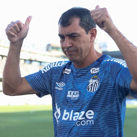 O Santos estreia na Série B do Brasileirão contra o Paysandu - Reinaldo Campos/Agif