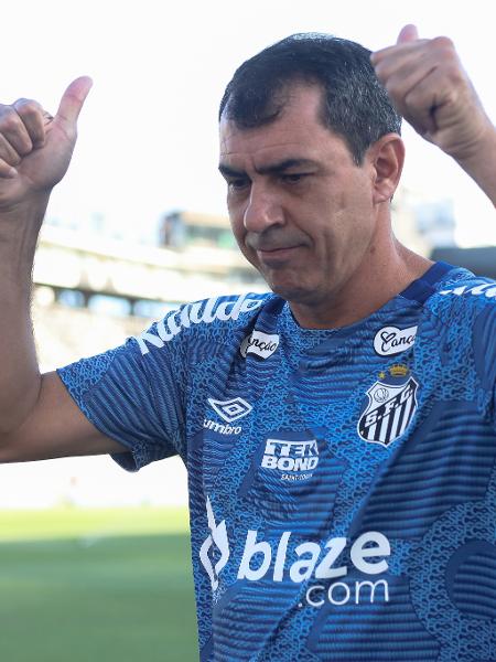 Fabio Carille, técnico do Santos, na final do Paulistão, contra o Palmeiras
