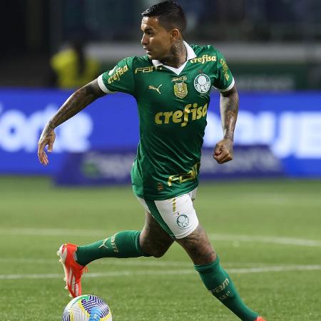 Dudu entrou no segundo tempo da vitória do Palmeiras contra o Atlético-GO pelo Brasileirão