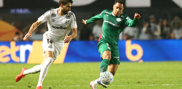 Defesa sólida, ataque preocupante: o balanço da classificação do Palmeiras