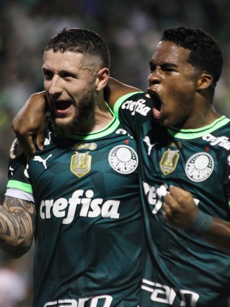 Ze Raphael Zé Rafael exalta empate heroico do Palmeiras; veja o que ele disse