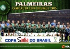 Palmeiras - campeão da Copa do Brasil - Arte UOL