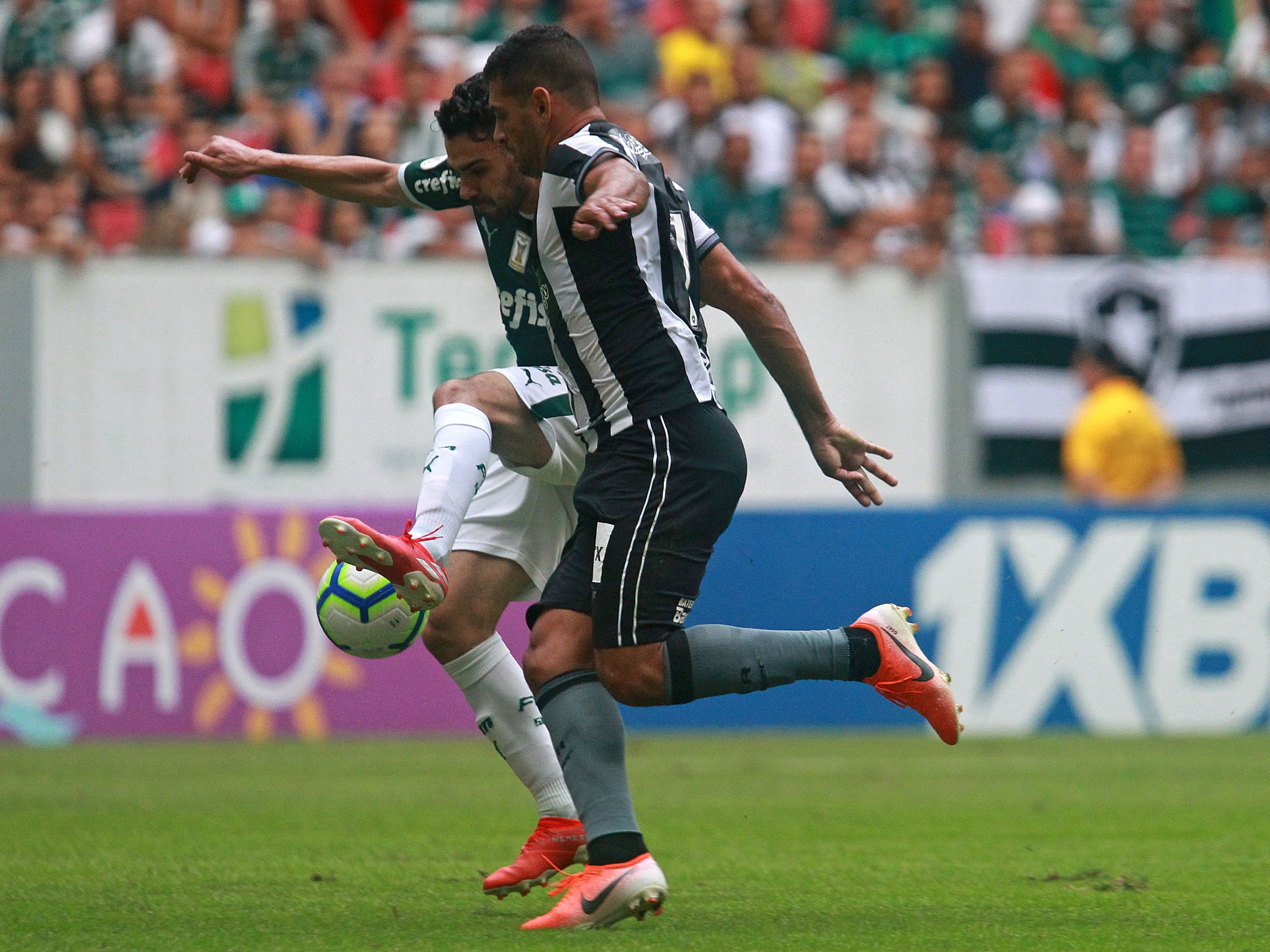 Palmeiras reverte 3 a 0 e vira sobre o Botafogo em jogo histórico