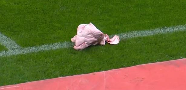 PROVOCAÇÃO ABSURDA! Cabeça de porco é arremessada em campo durante o dérbi