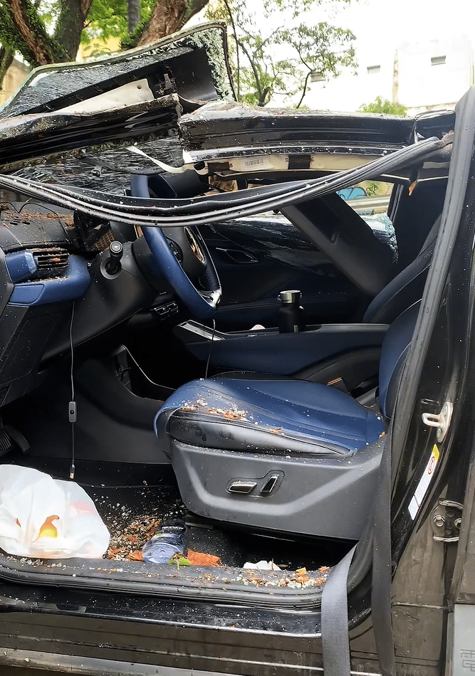 Árvore cai sobre carro de aplicativo e deixa motorista ferido na Avenida 23 de Maio, em SP - undefined