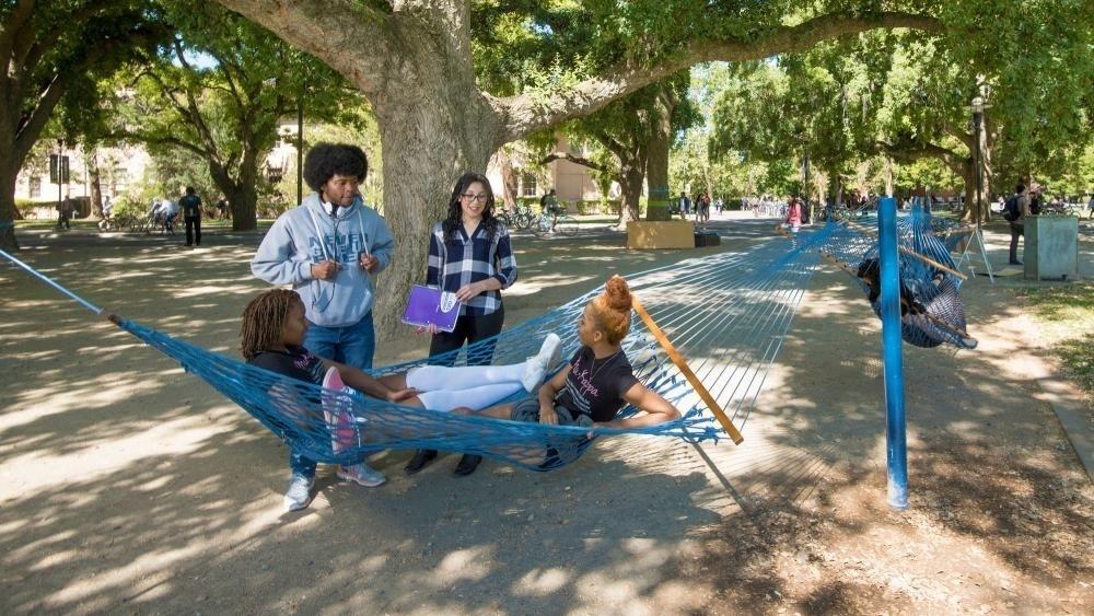 No campus da UC Davis há ainda uma praça com redes onde os alunos podem conviver e descansar - Reprodução/UC Davis