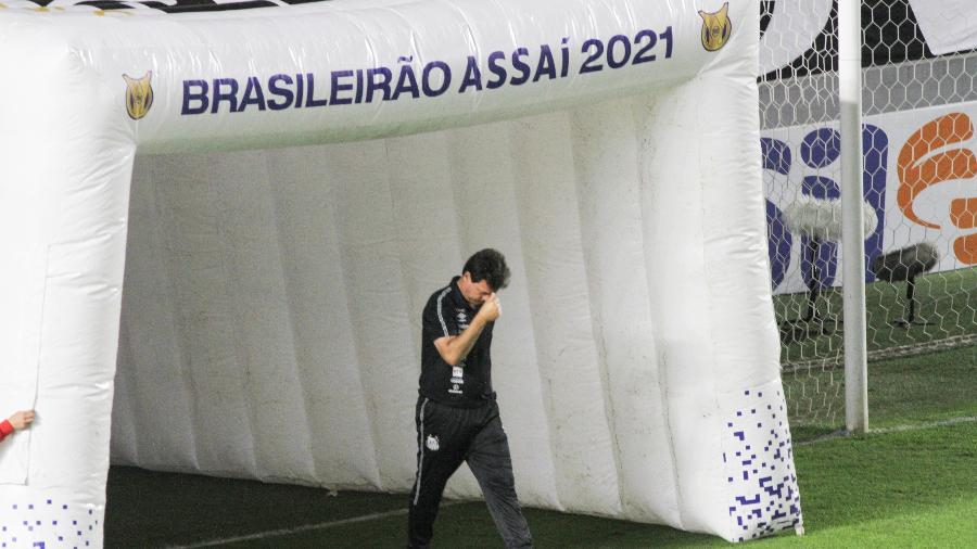 Fernando Diniz promete time preparado para jogos complicados na sequência do Brasileiro - Fernanda Luz/AGIF