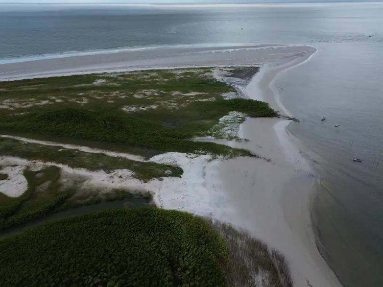 Área da Reserva Extrativista Marinha de Caeté-Taperaçu, no Pará
