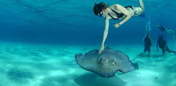 Mergulho com arraias, nas Ilhas Cayman