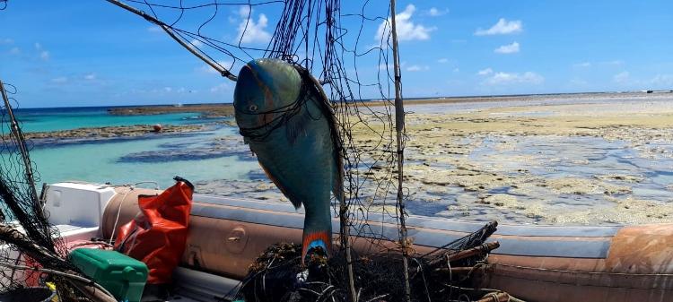 Registro de pesca ilegal no Atol das Rocas, no último mês de junho - Arquivo Pessoal - Arquivo Pessoal