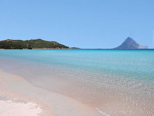 Spiaggia La Cinta, em San Teodoro, na Itália - Reprodução/Tripadvisor