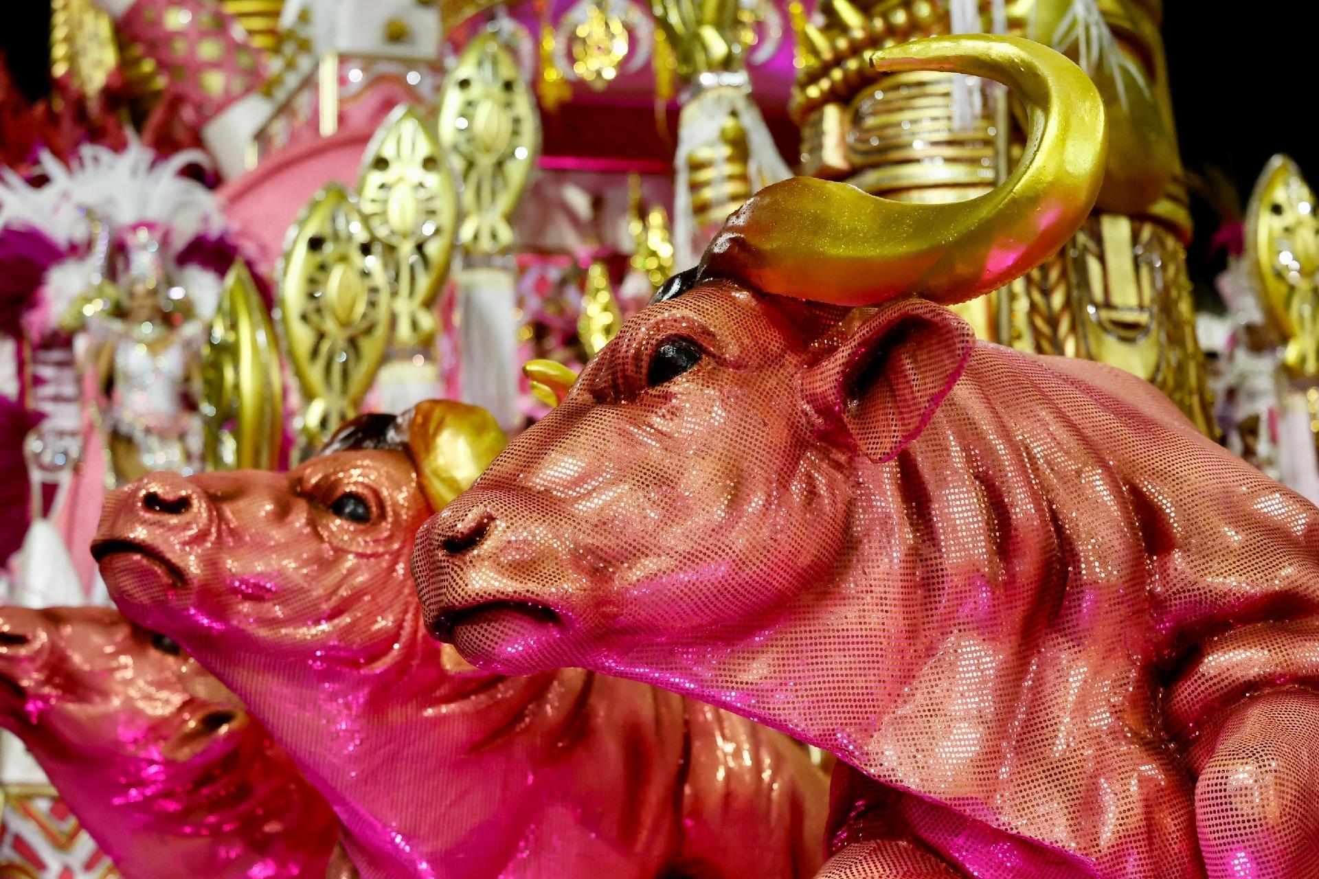 Enredo da Rosas de Ouro pede respeito e igualdade racial - Mariana Pekin/UOL