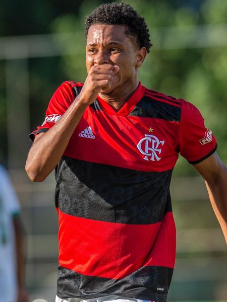 Com um belo gol de Ryan Luka (foto), o Fla derrotou o time mineiro por 1 a 0 e somou os seus primeiros três pontos na competição. - Marcelo Cortes/Flamengo