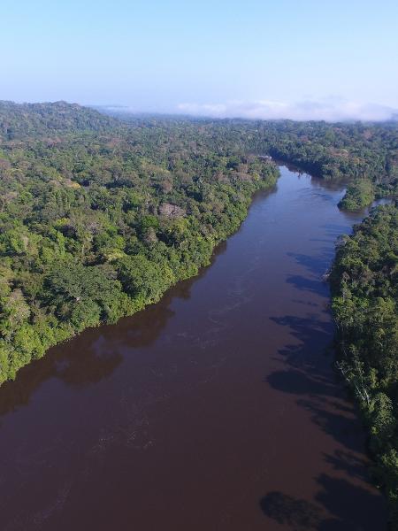 Governo federal tem sido alvo de queixas dentro e fora do país por não agir de maneira firme para combater o desmatamento e as queimadas na Amazônia - Divulgação/Expedição Jari-Paru 2019.