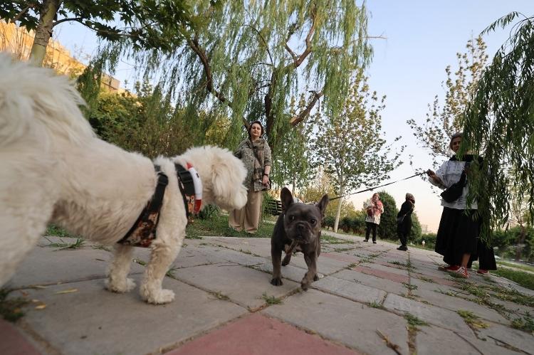 Pouca fiscalização não havia mudado o hábito de muitos iranianos até agora; no entanto, cenário pode mudar Pouca fiscalização não havia mudado o hábito de muitos iranianos até agora; no entanto, cenário pode mudar