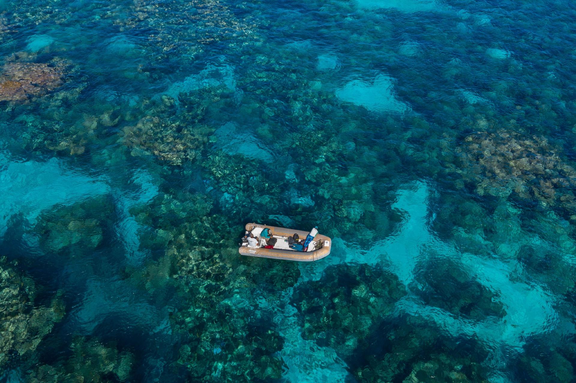 Atol das Rocas - Alice Grossman/All Angle