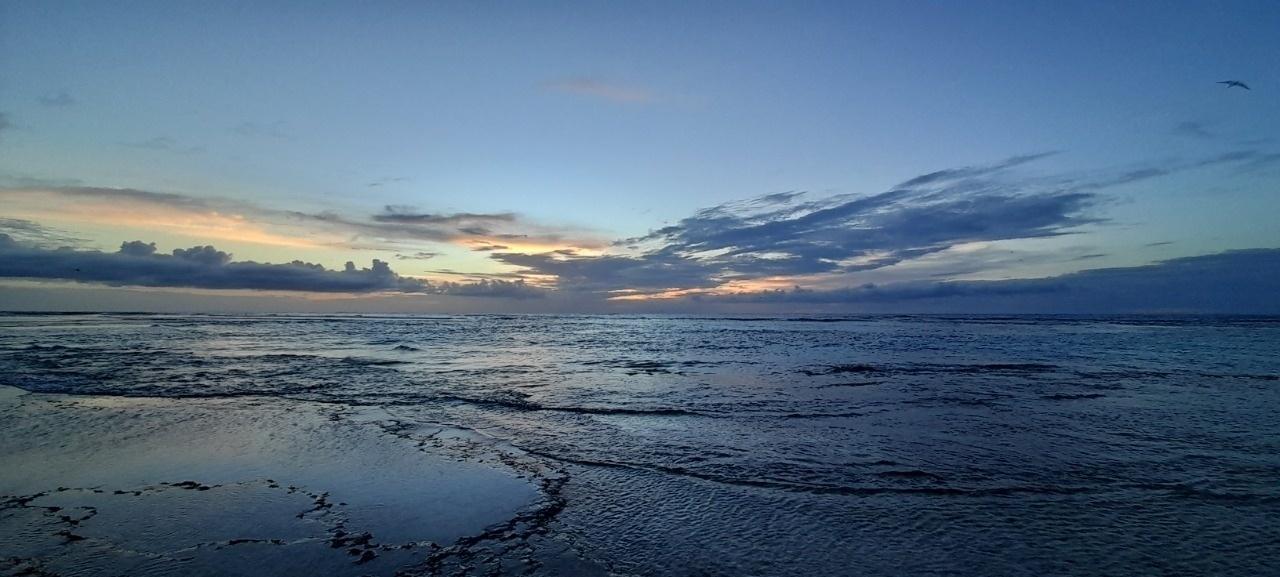 Atol das Rocas - Arquivo Pessoal