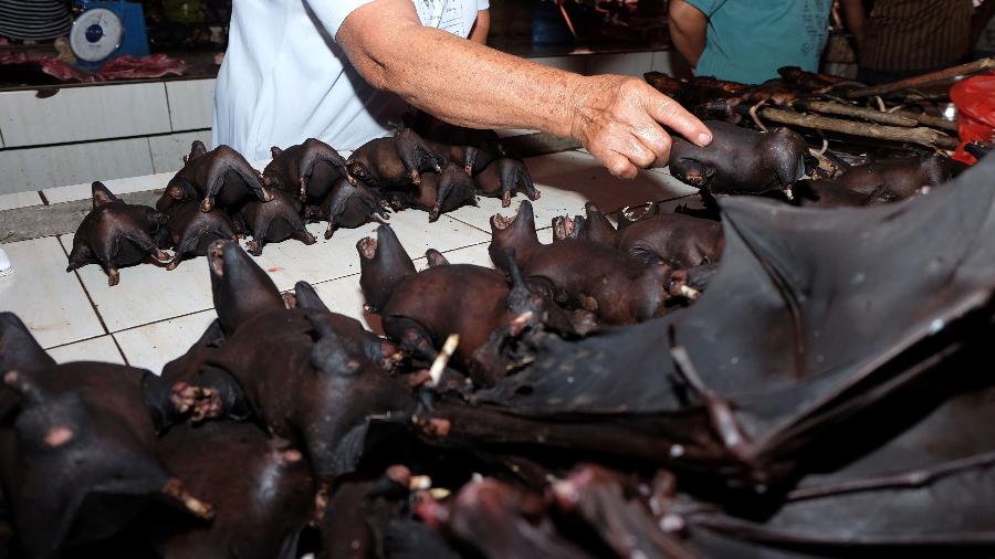 Morcegos em exibição em um mercado de carnes na China - GOH CHAI HIN / AFP