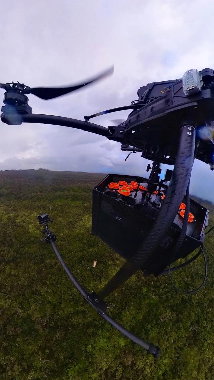 O drone do projeto "Birds, Not Mosquitoes" no Havaí: conteiner acima controla a temperatura em que os mosquitos são mantidos antes de a cápsula ser liberada (abaixo) O drone do projeto "Birds, Not Mosquitoes" no Havaí: conteiner acima controla a temperatura em que os mosquitos são mantidos antes de a cápsula ser liberada (abaixo)