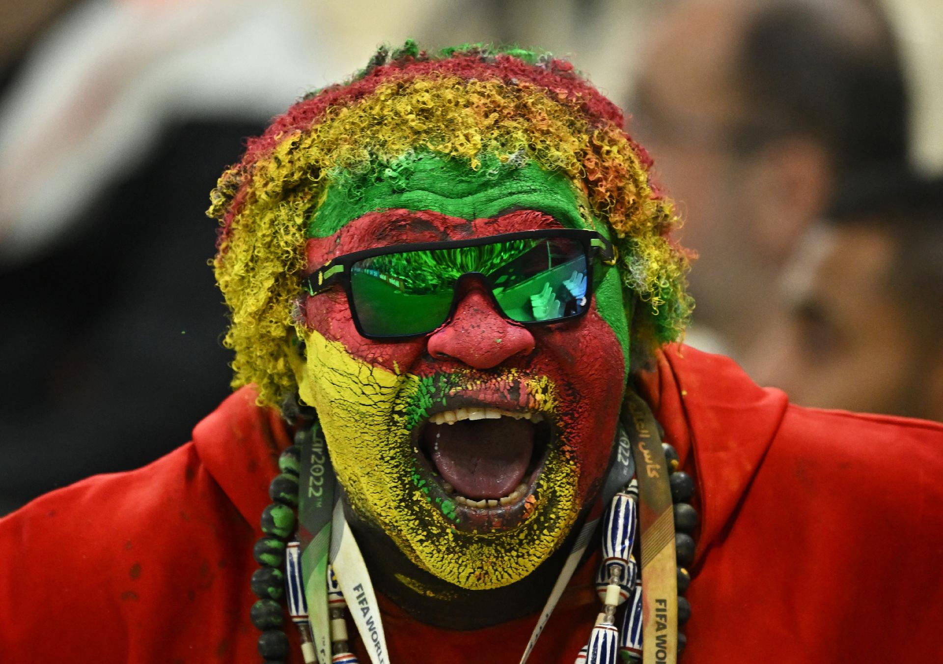 Cameroon fans before the match against Brazil in the World Cup - REUTERS/Dylan Martinez