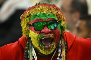 Torcedor de Camarões antes da partida contra o Brasil na Copa - REUTERS/Dylan Martinez