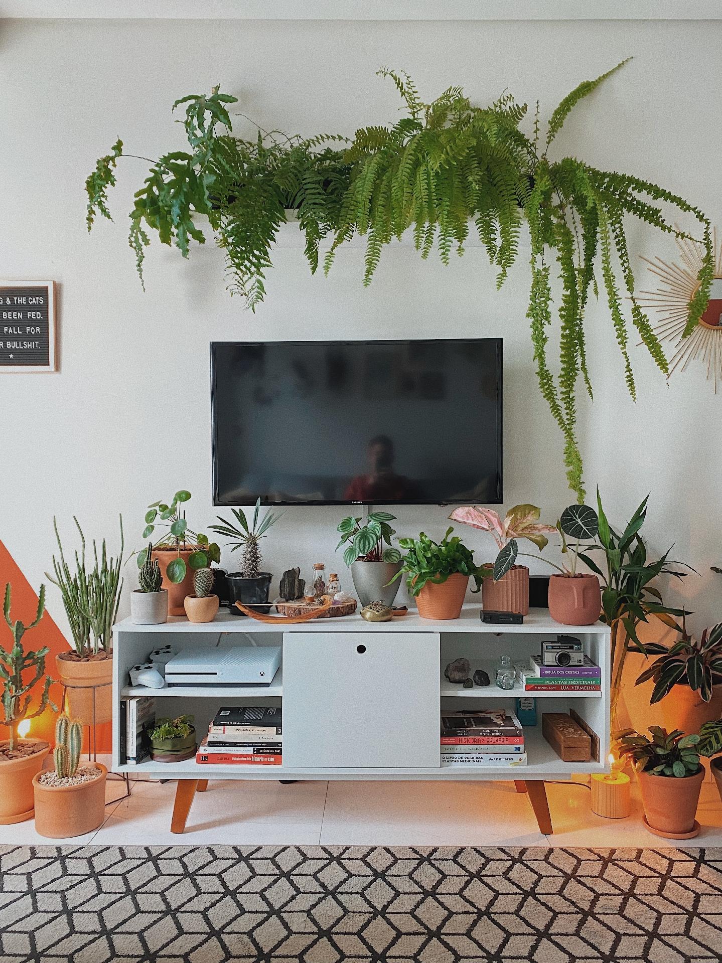 Meu Apê - Micaela - Arquivo Pessoal