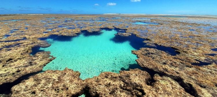 Piscina natural no Atol das Rocas  - Arquivo Pessoal - Arquivo Pessoal