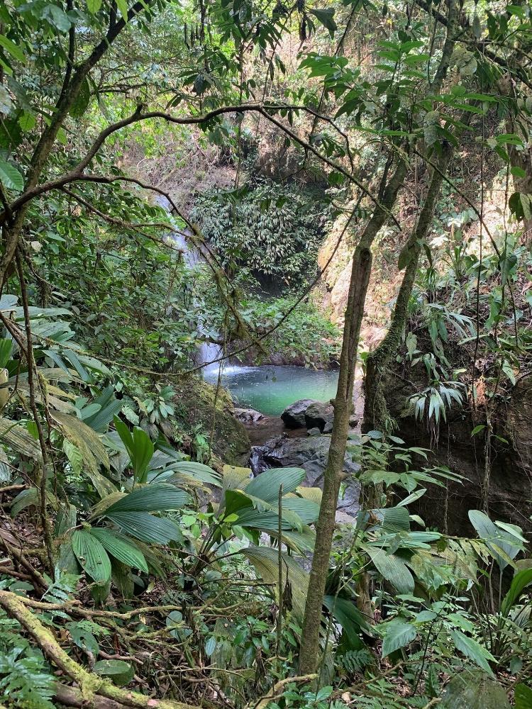Apesar de perigoso, o Tapón del Darién tem belas paisagens - Rick Morales/Jungle Treks - Rick Morales/Jungle Treks