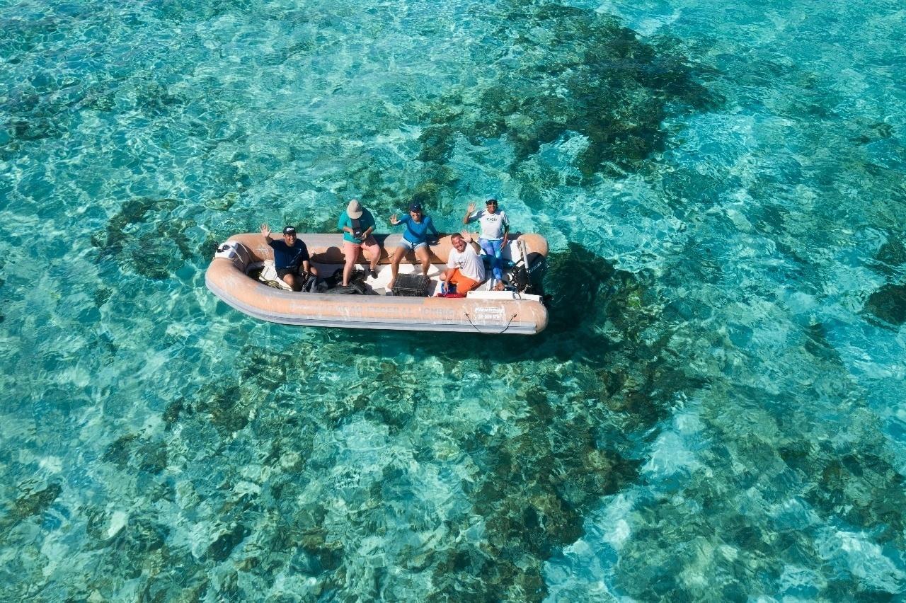 Atol das Rocas - Alice Grossman/All Angle