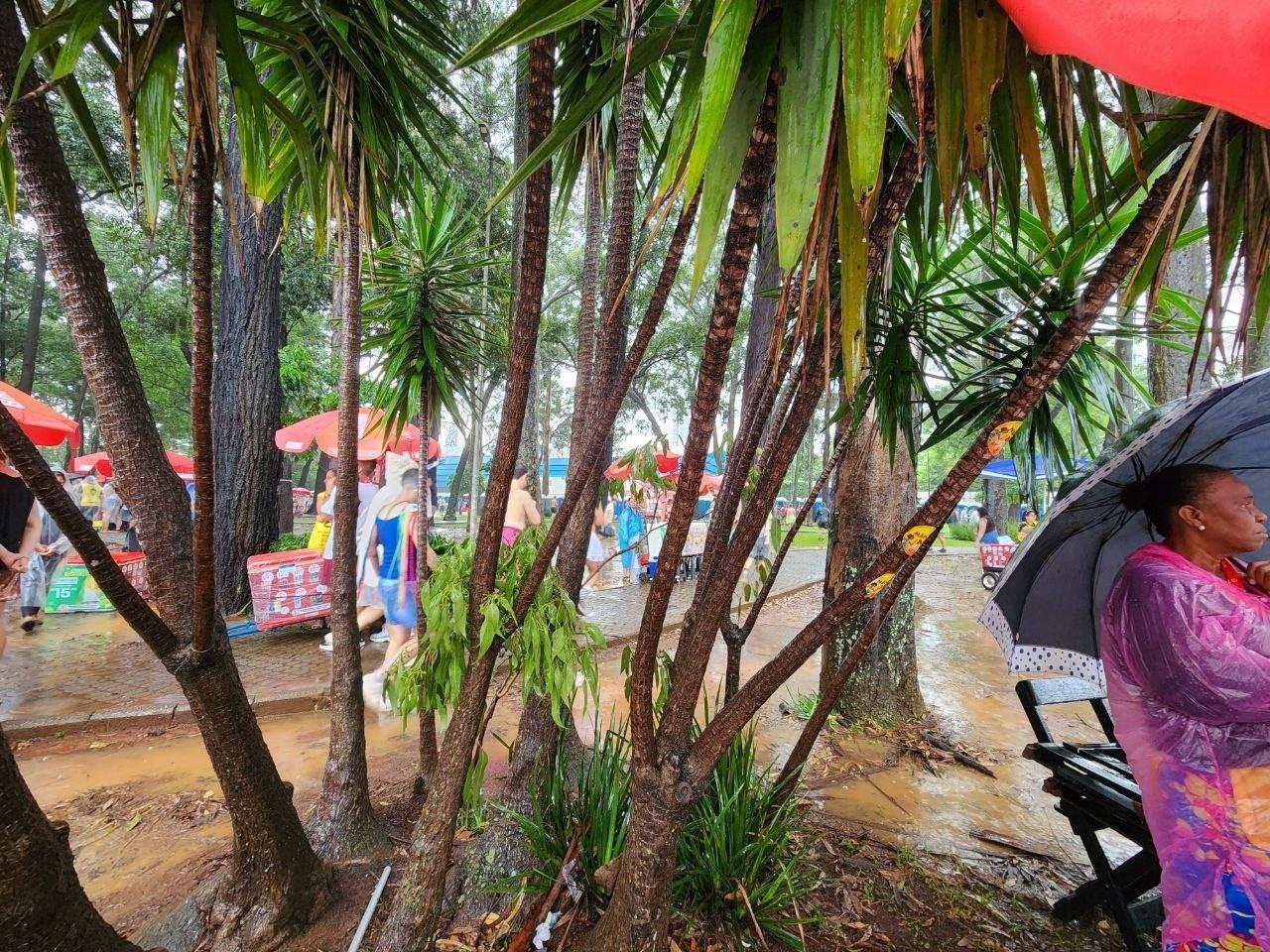 Conforme a chuva aumenta, foliões se dispersam no Bloco Agrada Gregos, no Ibirapuera - Camila Corsini/UOL