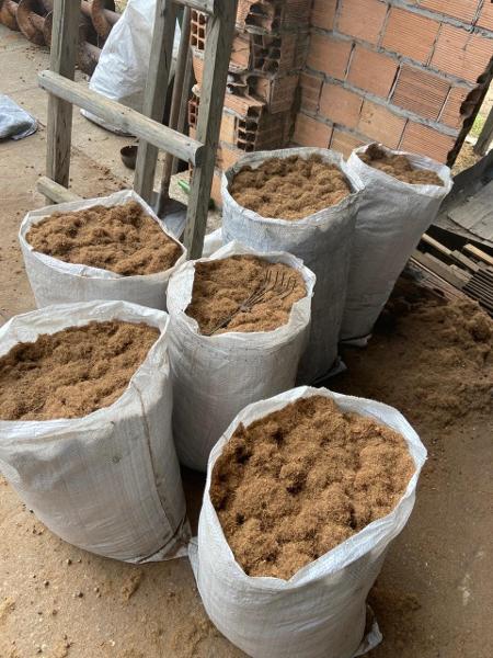 Fibras do caroço do açaí do projeto da Fecaf Fibras do caroço do açaí do projeto da Fecaf