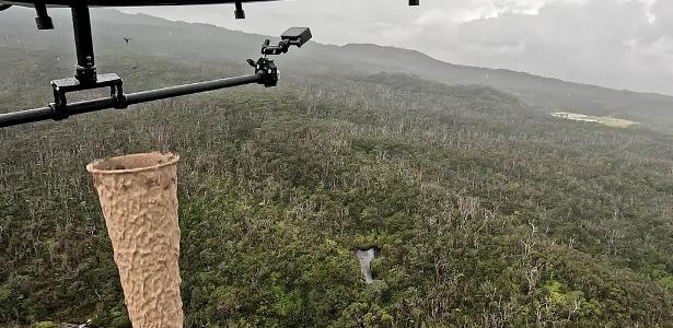 'Delivery' de mosquitos: por que insetos são soltos por drones no Havaí