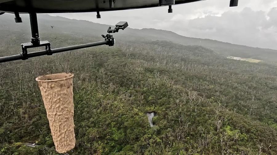 As cápsulas biodegradáveis em papel onde os mosquitos são levados por drones ao Havaí As cápsulas biodegradáveis em papel onde os mosquitos são levados por drones ao Havaí