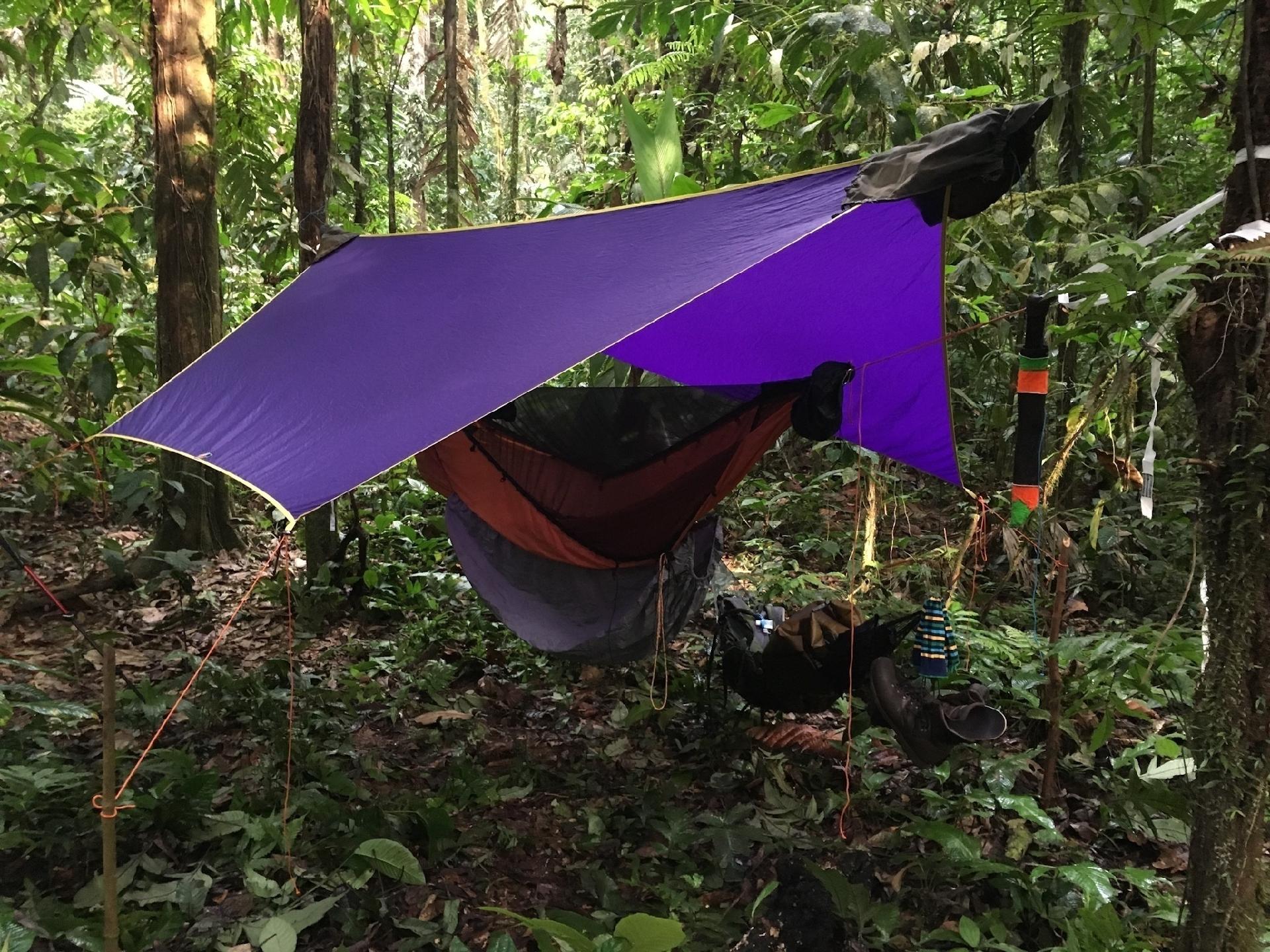 É assim que os turistas dormem no Tapón del Darién - Rick Morales/Jungle Treks