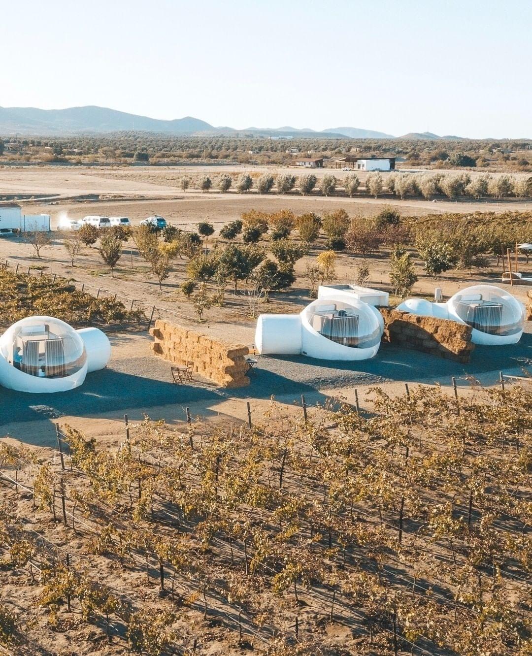 Campera Hotel Burbuja, na região vinícola mexicana do Vale de Guadalupe - Reprodução/Instagram