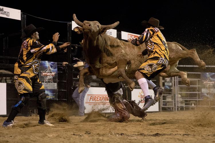 Os rodeios também são atrações que movimentam a pacata Julia Creek Os rodeios também são atrações que movimentam a pacata Julia Creek