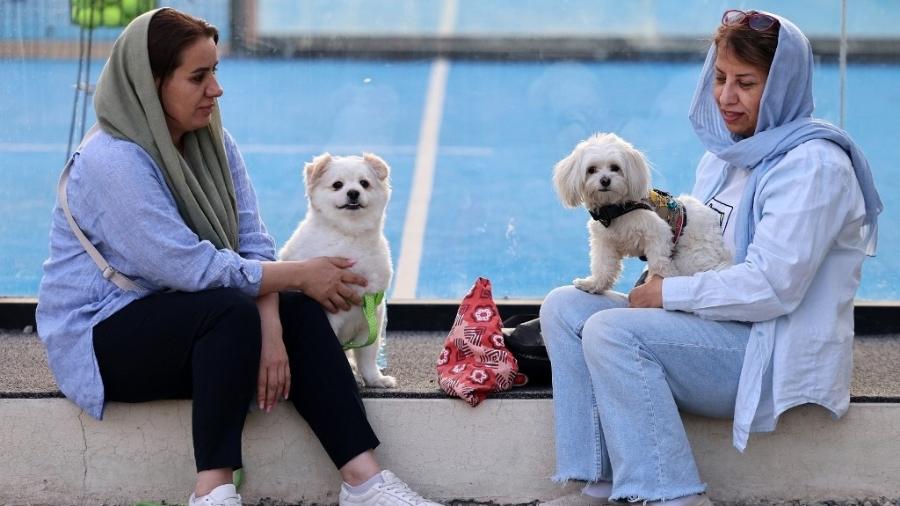 Duas iranianas brincam com seus cães em um parque de Teerã, em 8 de junho de 2025, mesmo com o reforço das proibições Duas iranianas brincam com seus cães em um parque de Teerã, em 8 de junho de 2025, mesmo com o reforço das proibições