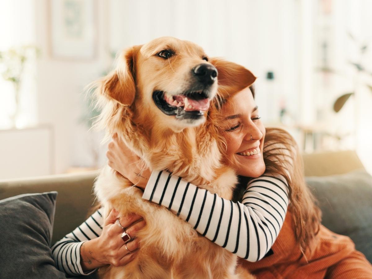 Lei brasileira permite cachorros grandes em condomínios
