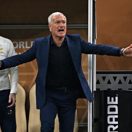 Didier Deschamps, técnico da França, durante a final da Copa do Mundo - Paul ELLIS / AFP