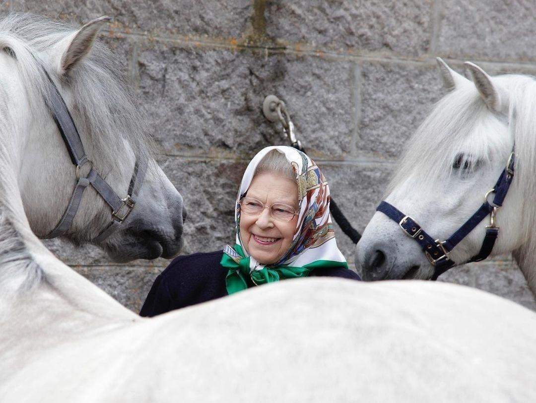 Queen Elizabeth with horses on the Balmoral estate - Reproduction/Instagram